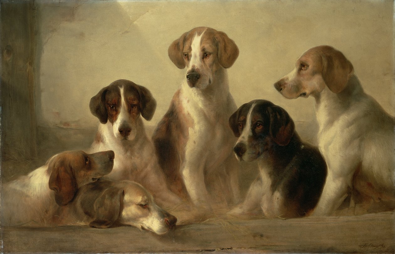Cães de caça de Edward Robert Smythe
