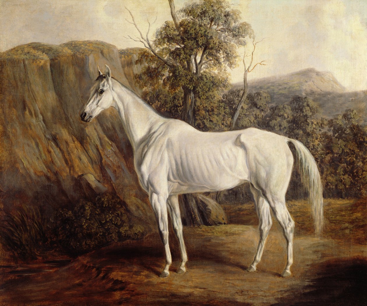 Bolívia, 1836 de Edward Troye