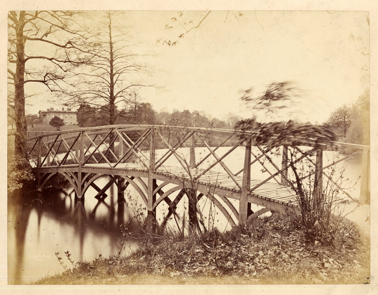 Roundhay Park (foto a p/b) de Edward Wormald