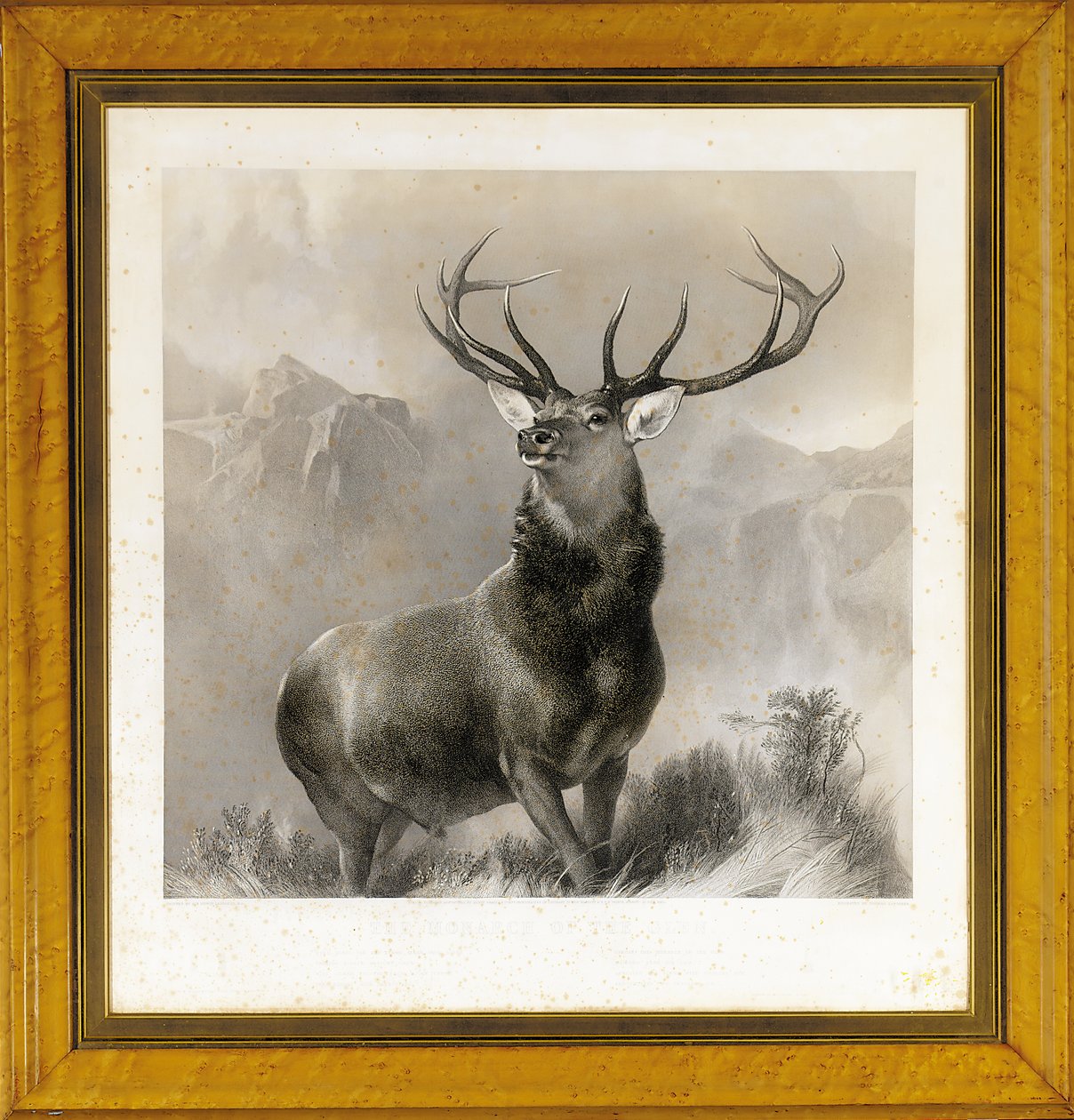 O monarca do vale, 1852 de Edwin Landseer