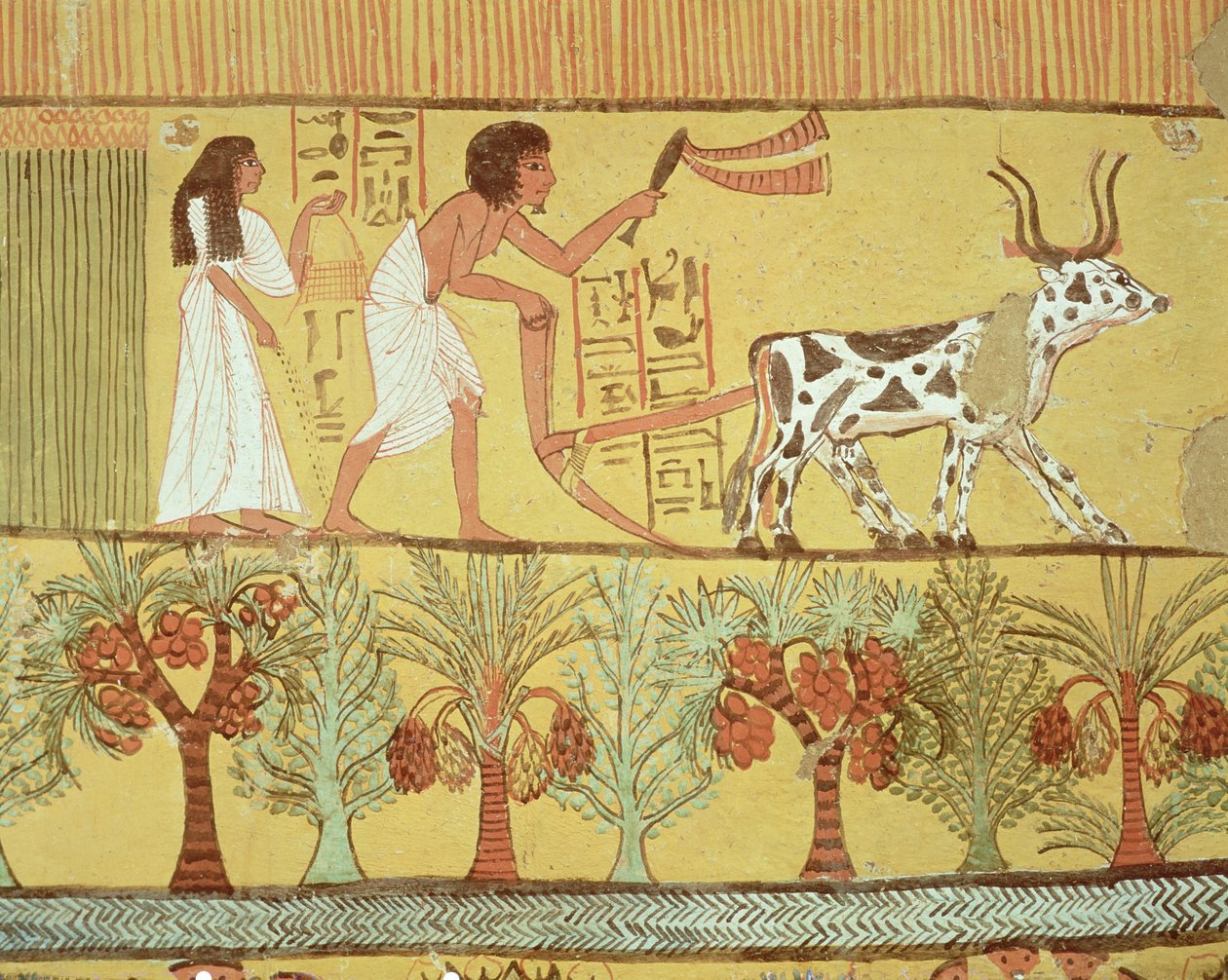 Sennedjem e sua esposa nos campos semeando e lavrando, da tumba de Sennedjem, a vila dos trabalhadores, New Kingdom (pintura de parede) de Egyptian 19th Dynasty