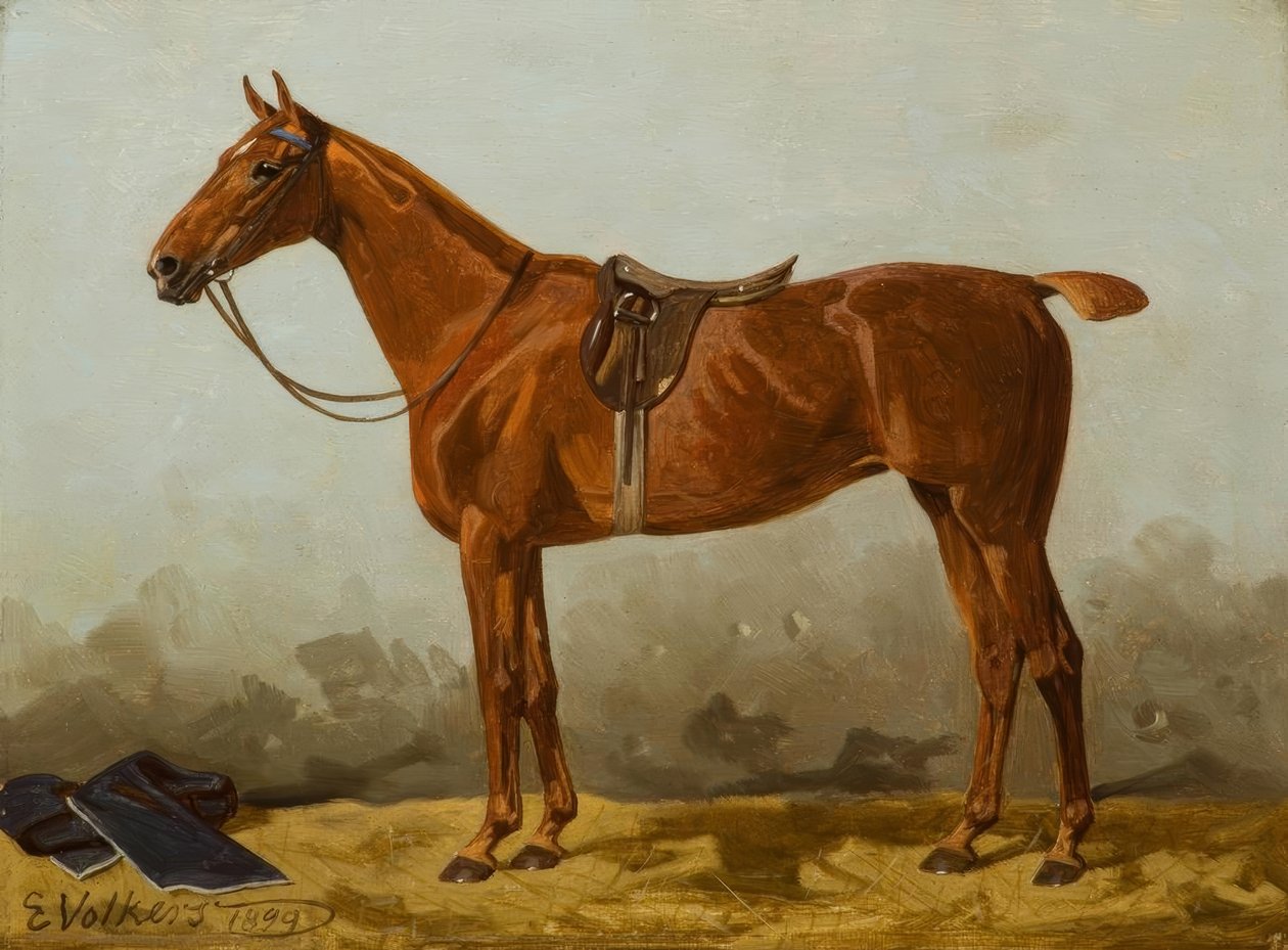 E.Volkers, raposa selada de Emil Volkers
