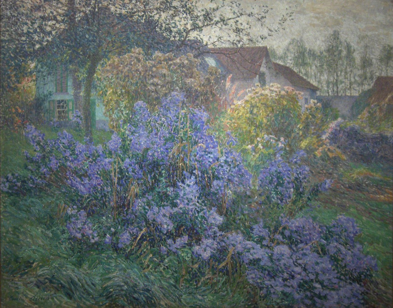 AstersnNederlands: De astersn de Emile Claus