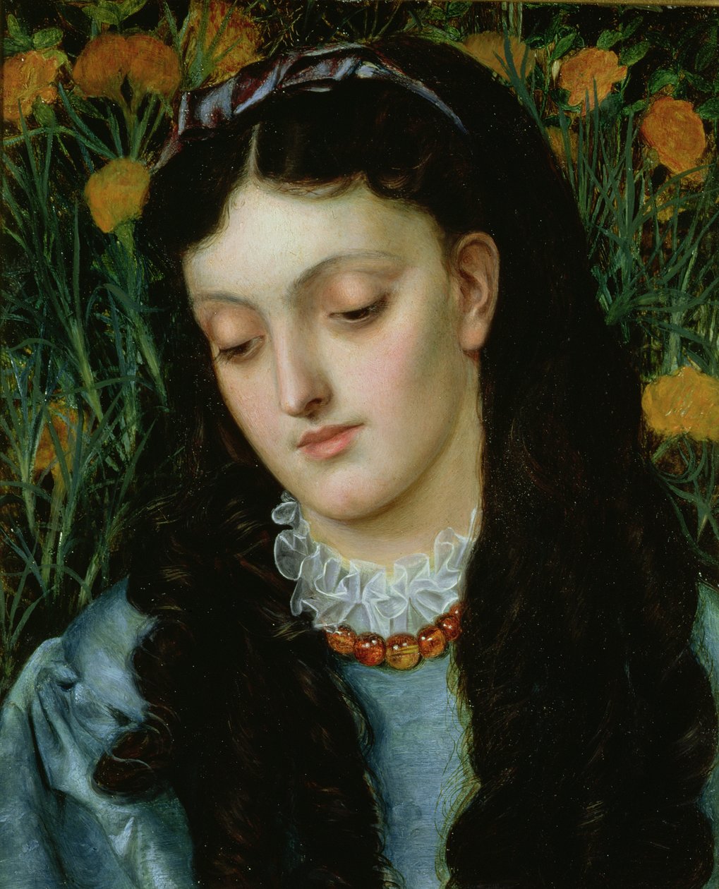 A bela Wallflower de Emma Sandys