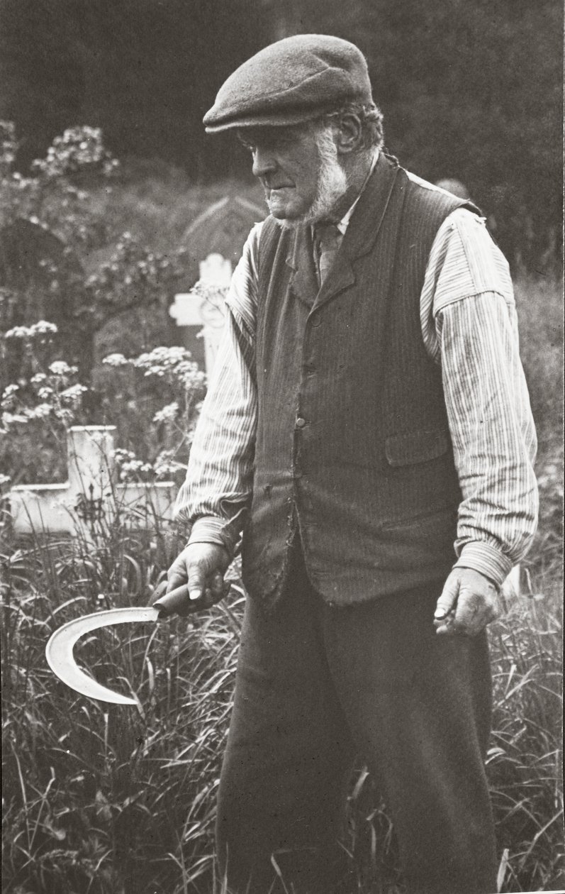 O jardineiro de English Photographer