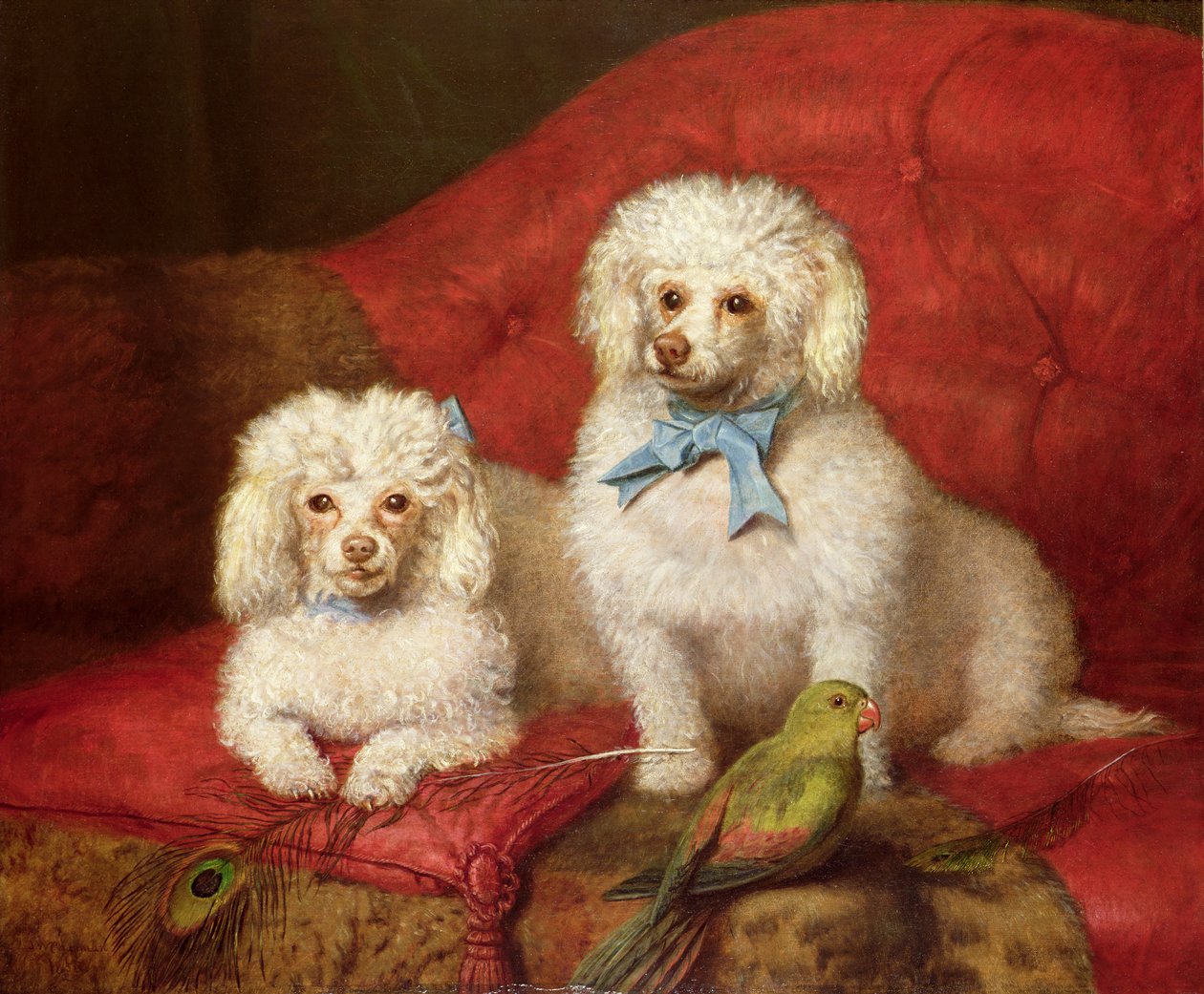 Um par de poodles de English School