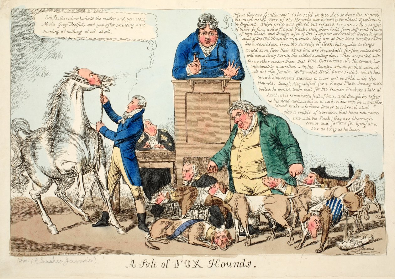 Uma Venda de Fox Hounds de English School