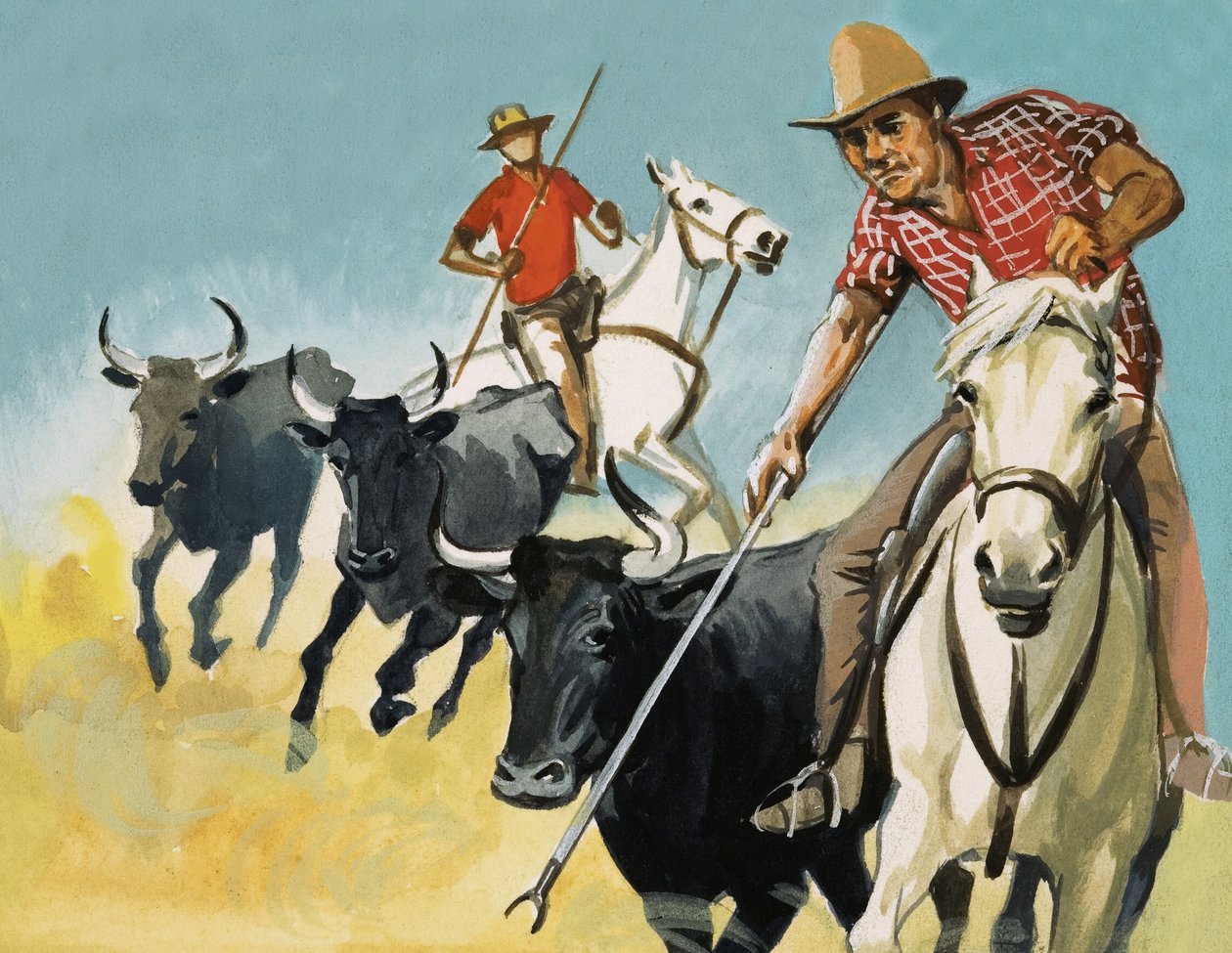 Gardianos da Camarga de English School