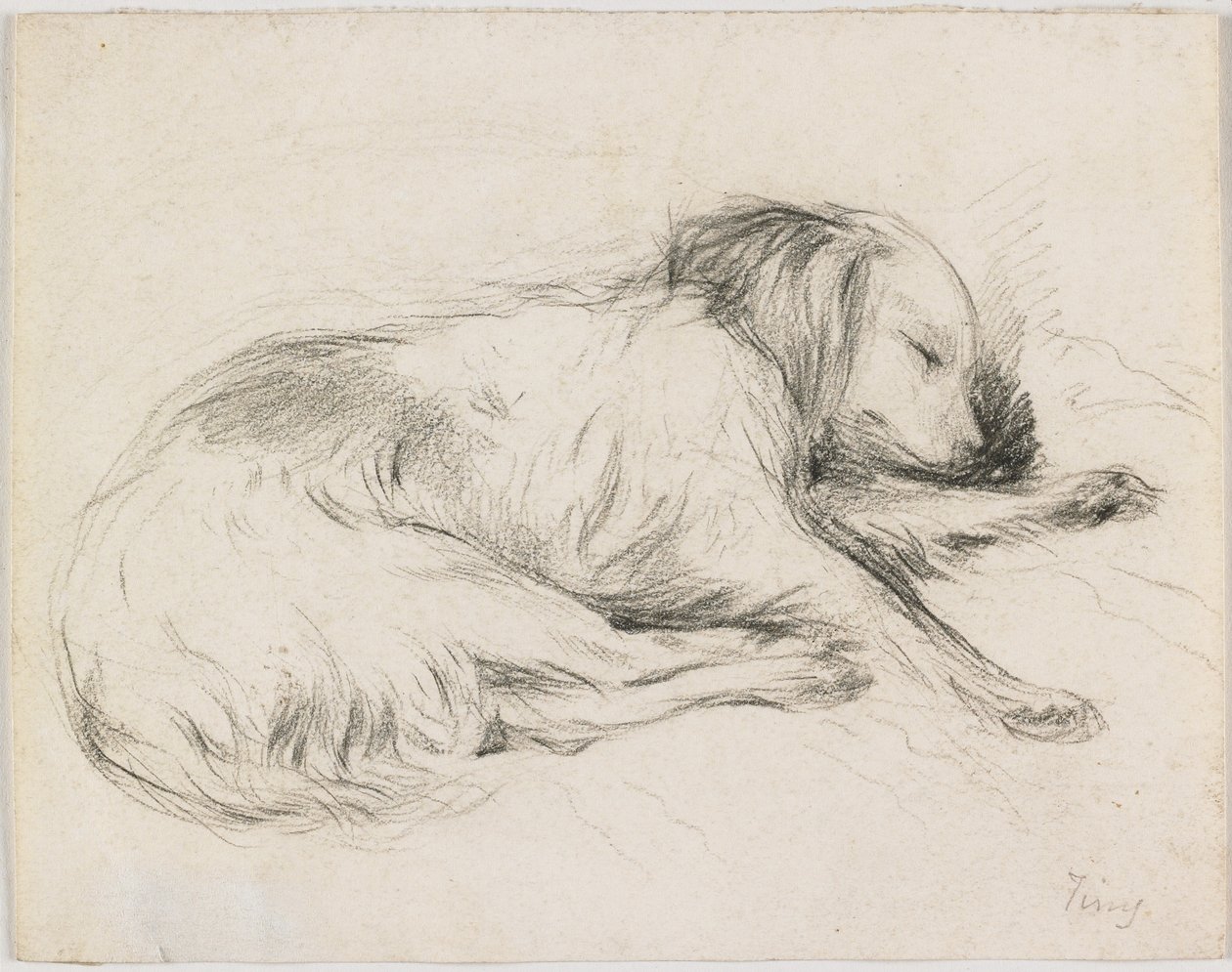 Cão Adormecido, c.1840 (grafite sobre papel) de English School