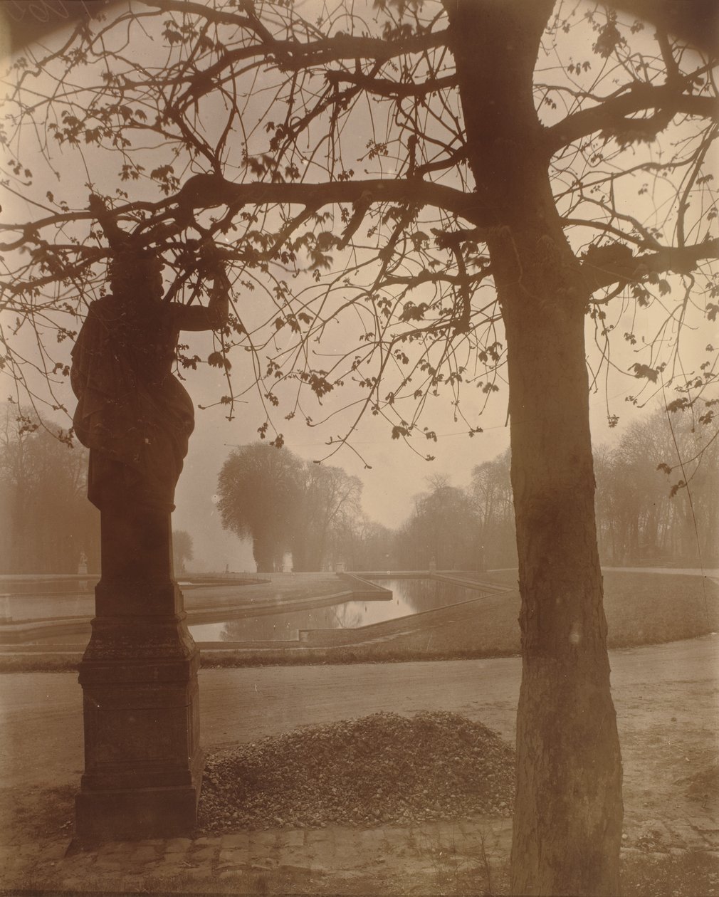 Saint-Cloud,1926 (foto) de Eugène Atget
