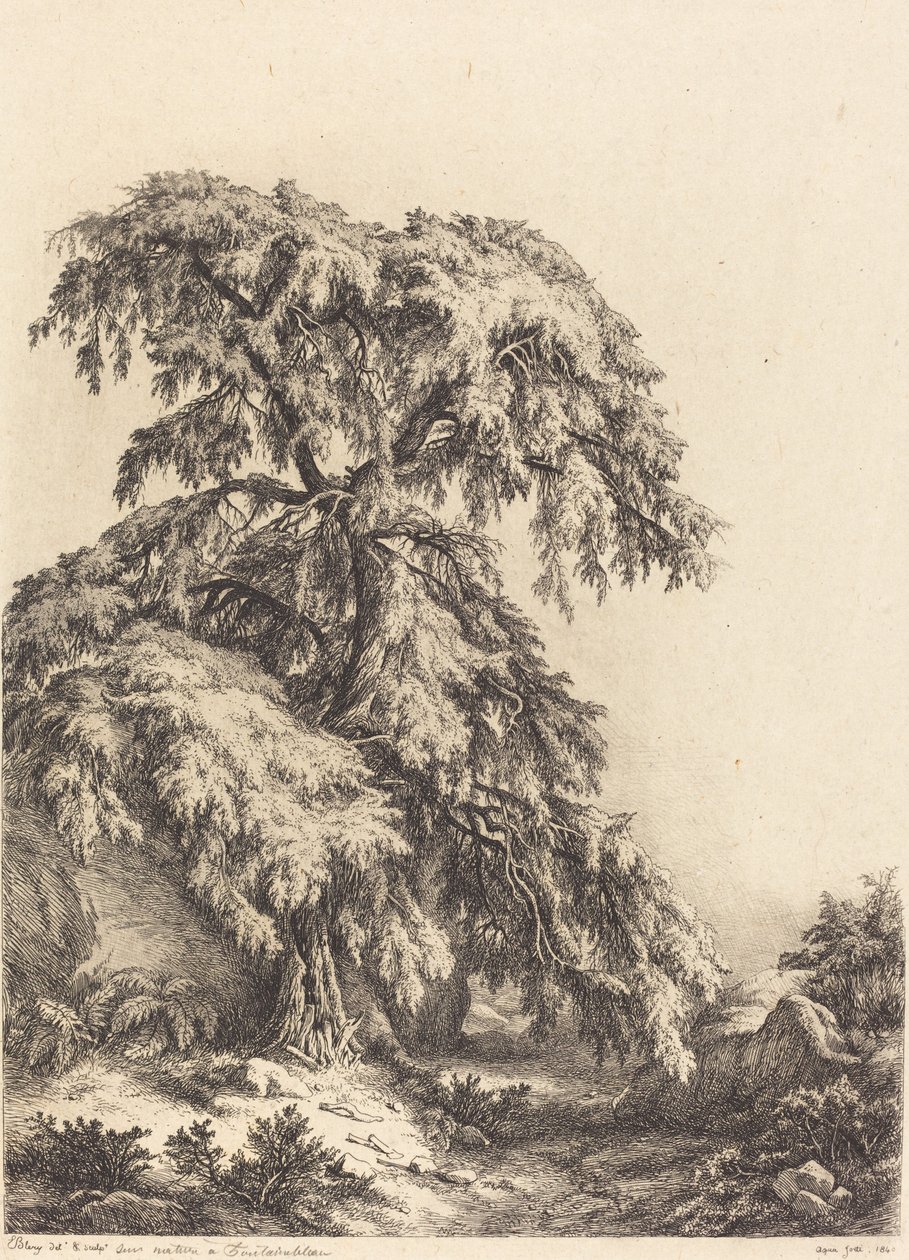 Árvore de zimbro de Eugene Bléry