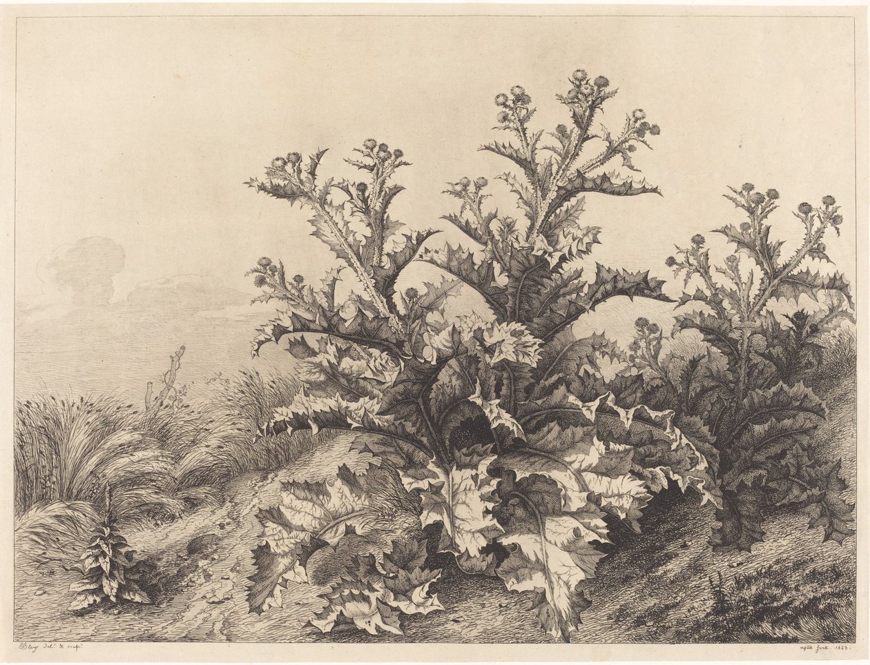 Cardo Grande de Eugene Bléry