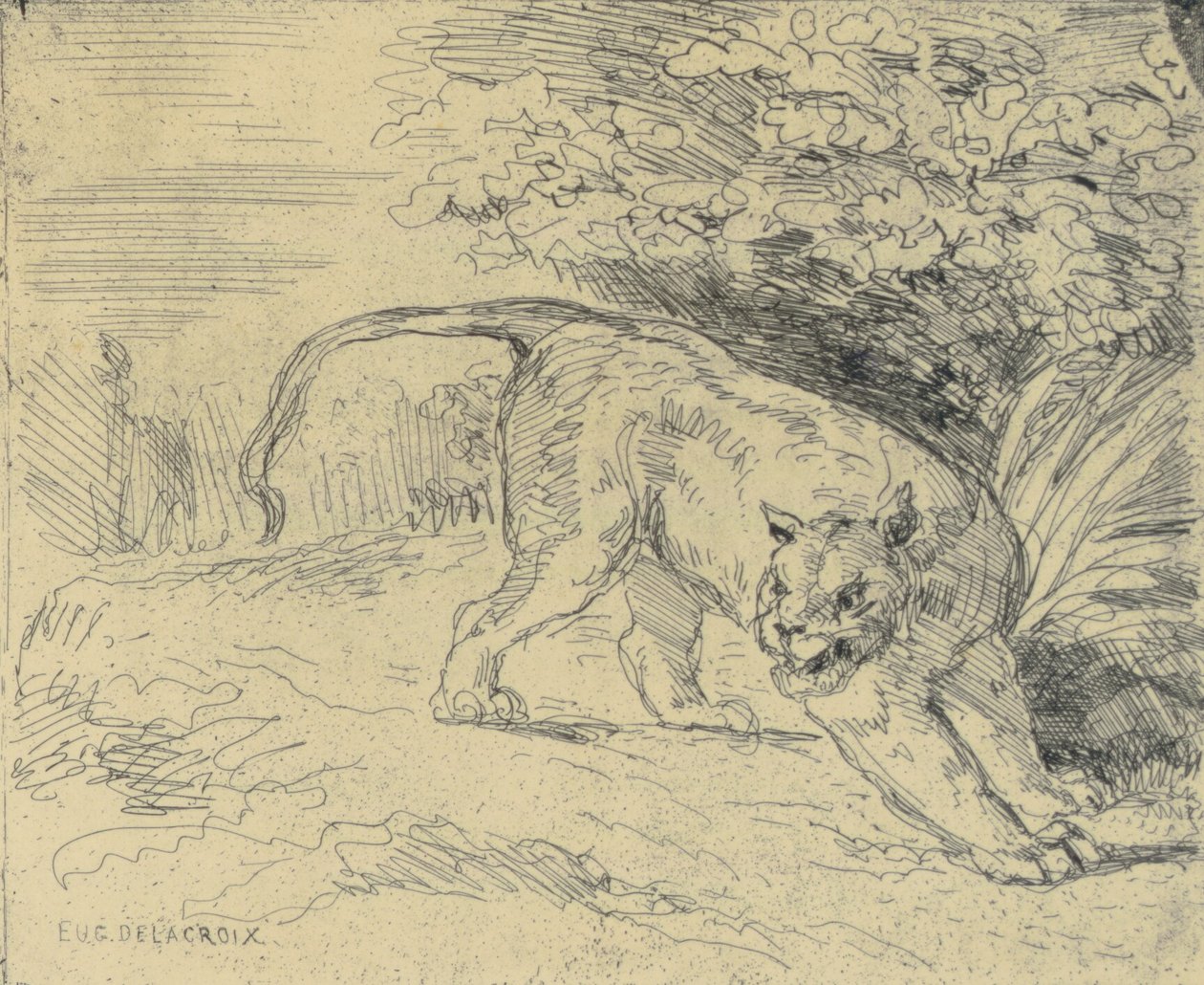 Tigre em espera de Eugène Delacroix