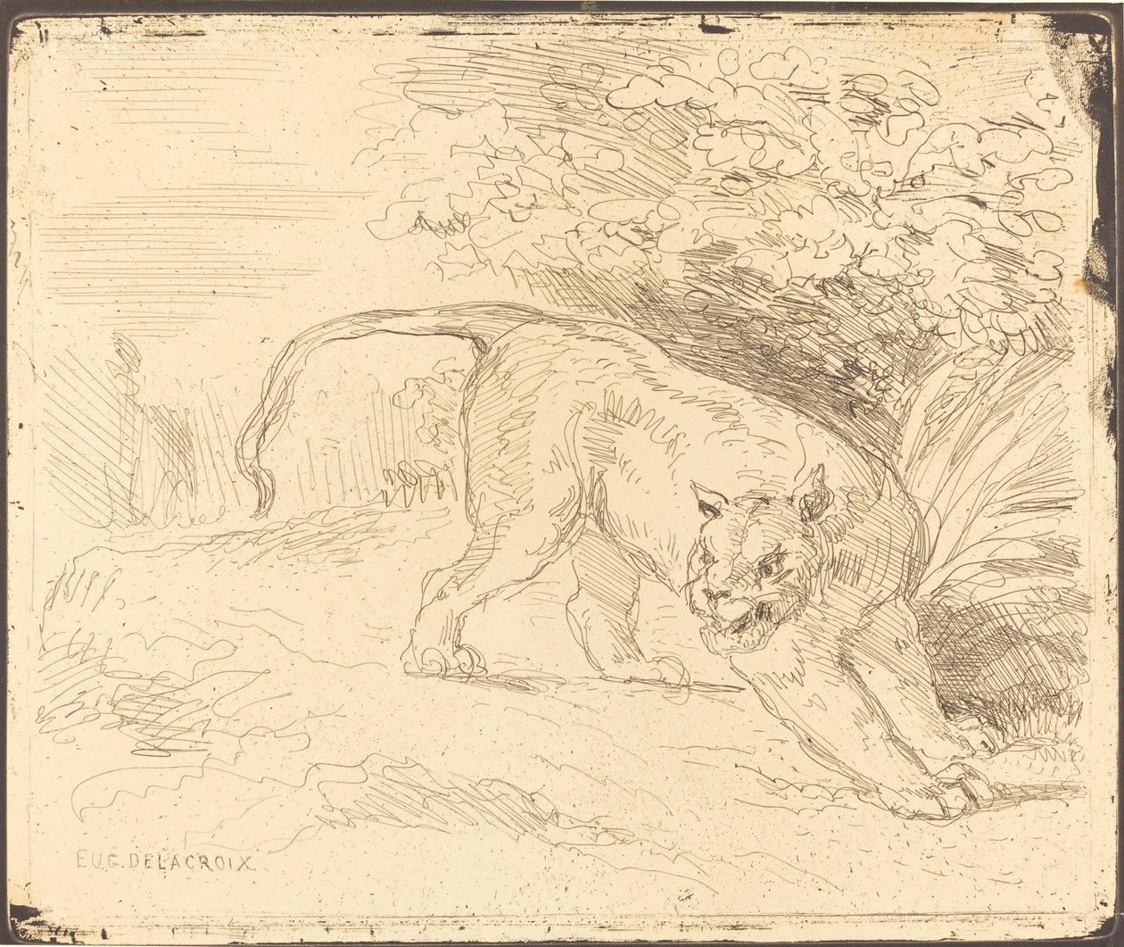 Tigre em Stop, 1854. de Eugène Delacroix