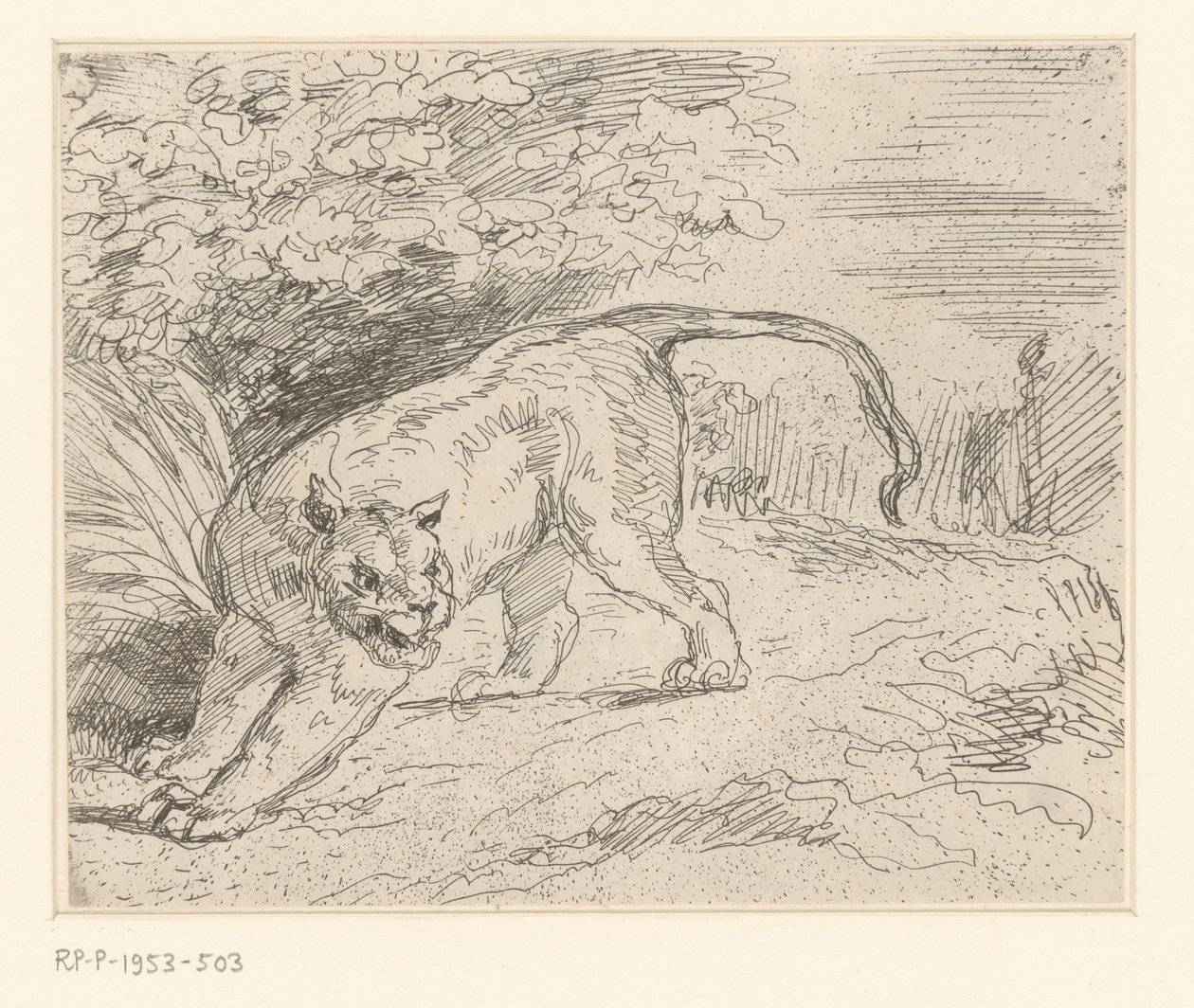 Tijger
Tigre em paragem de Eugène Delacroix