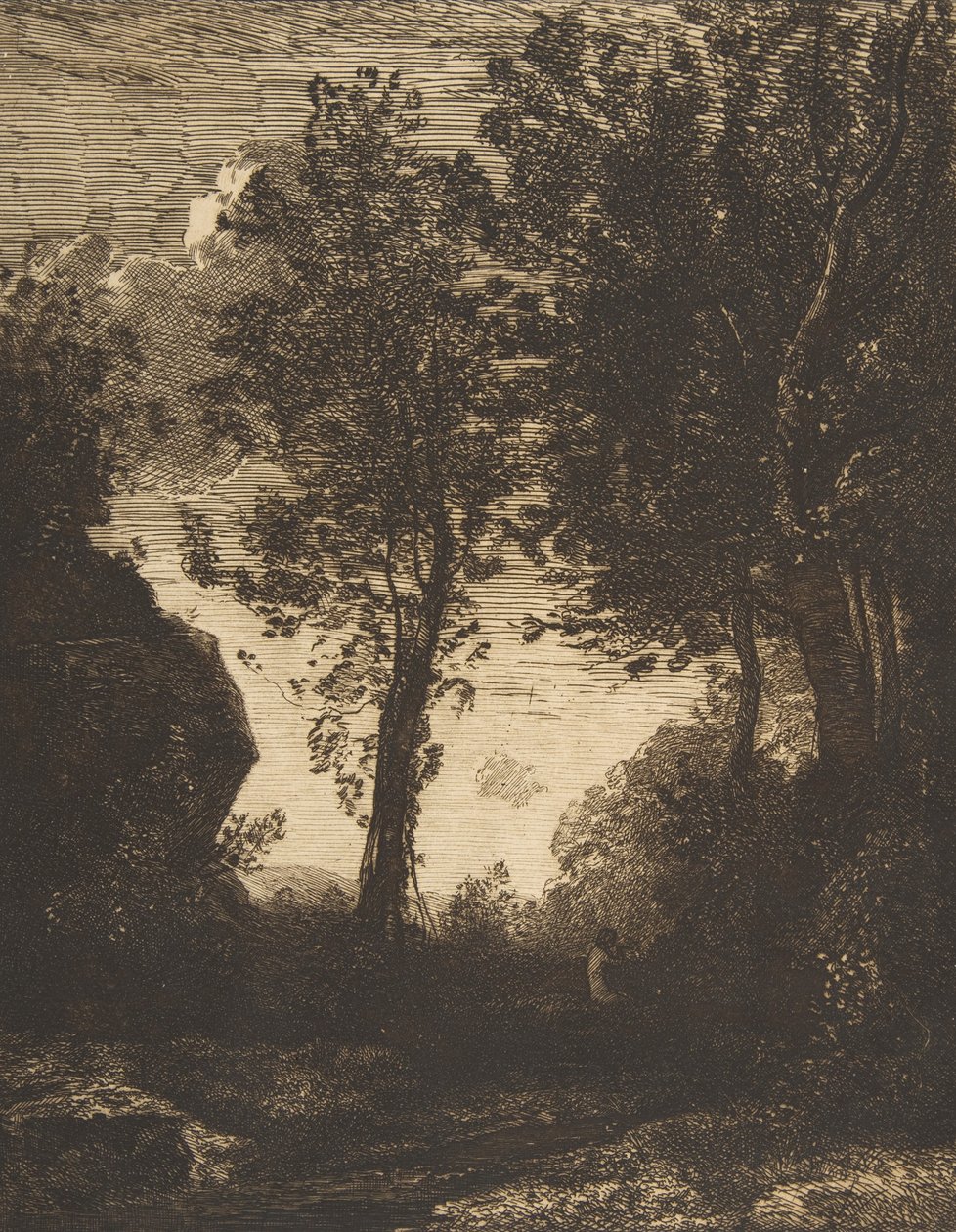 Floresta. de Felix Bracquemond