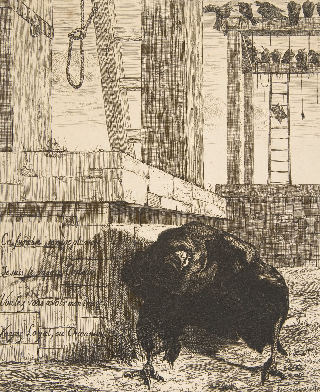 O Corvo, 1859. de Felix Bracquemond