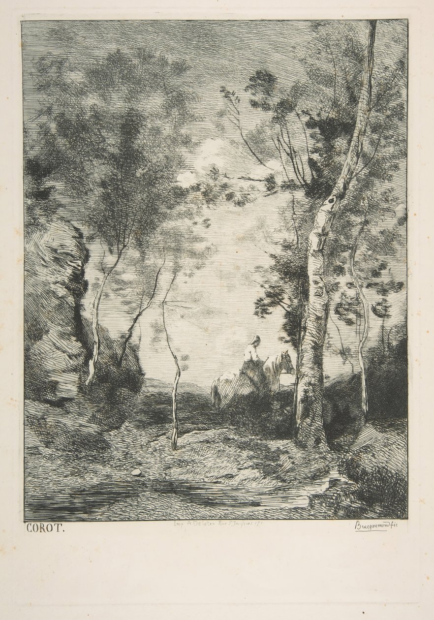O cavalo branco, 1858. de Felix Bracquemond