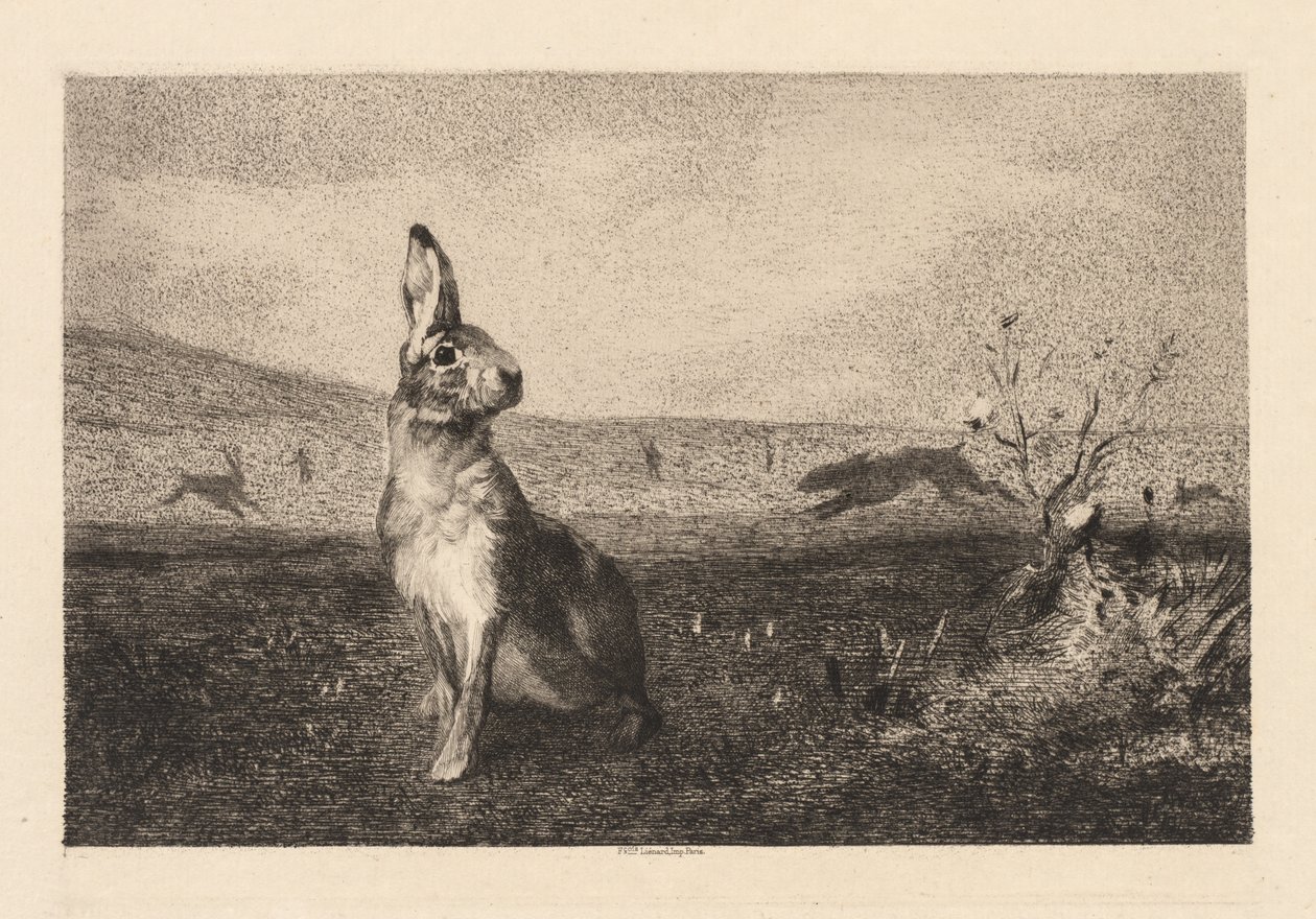 A lebre de Felix Bracquemond