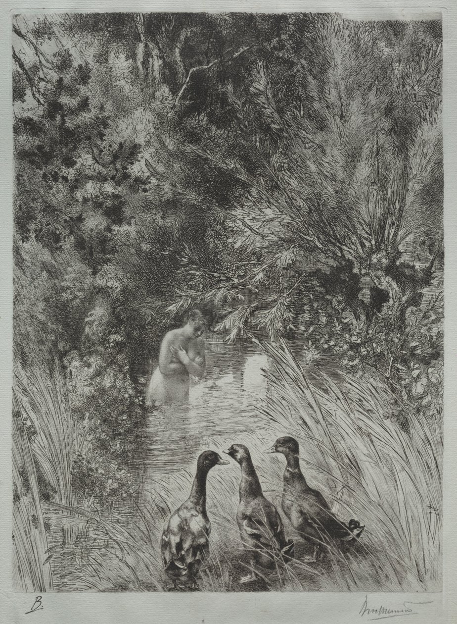 Os Patos Surpresos de Felix Bracquemond