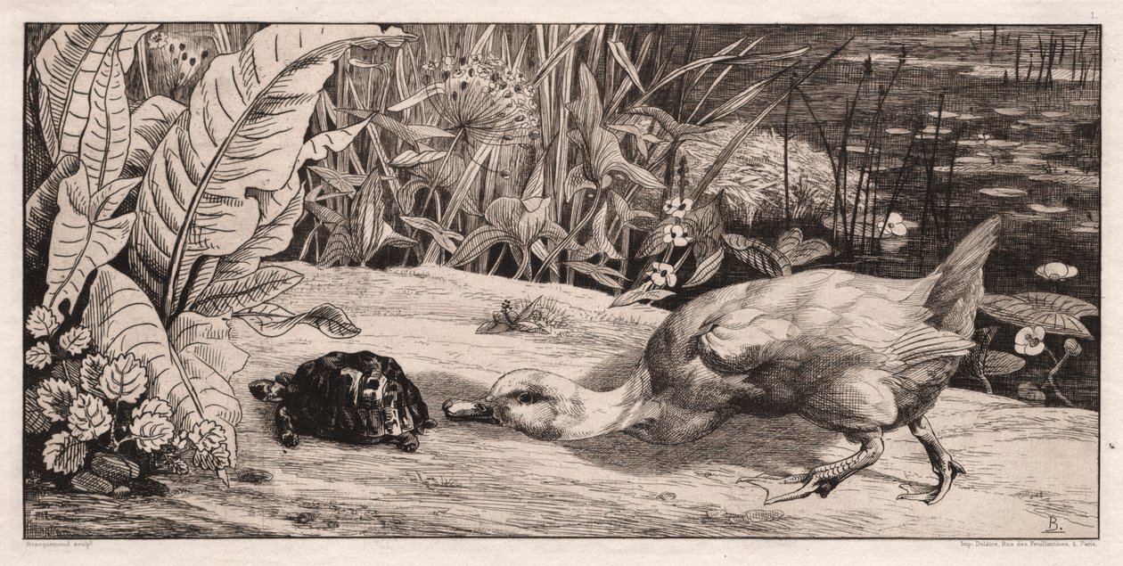O desconhecido de Felix Bracquemond