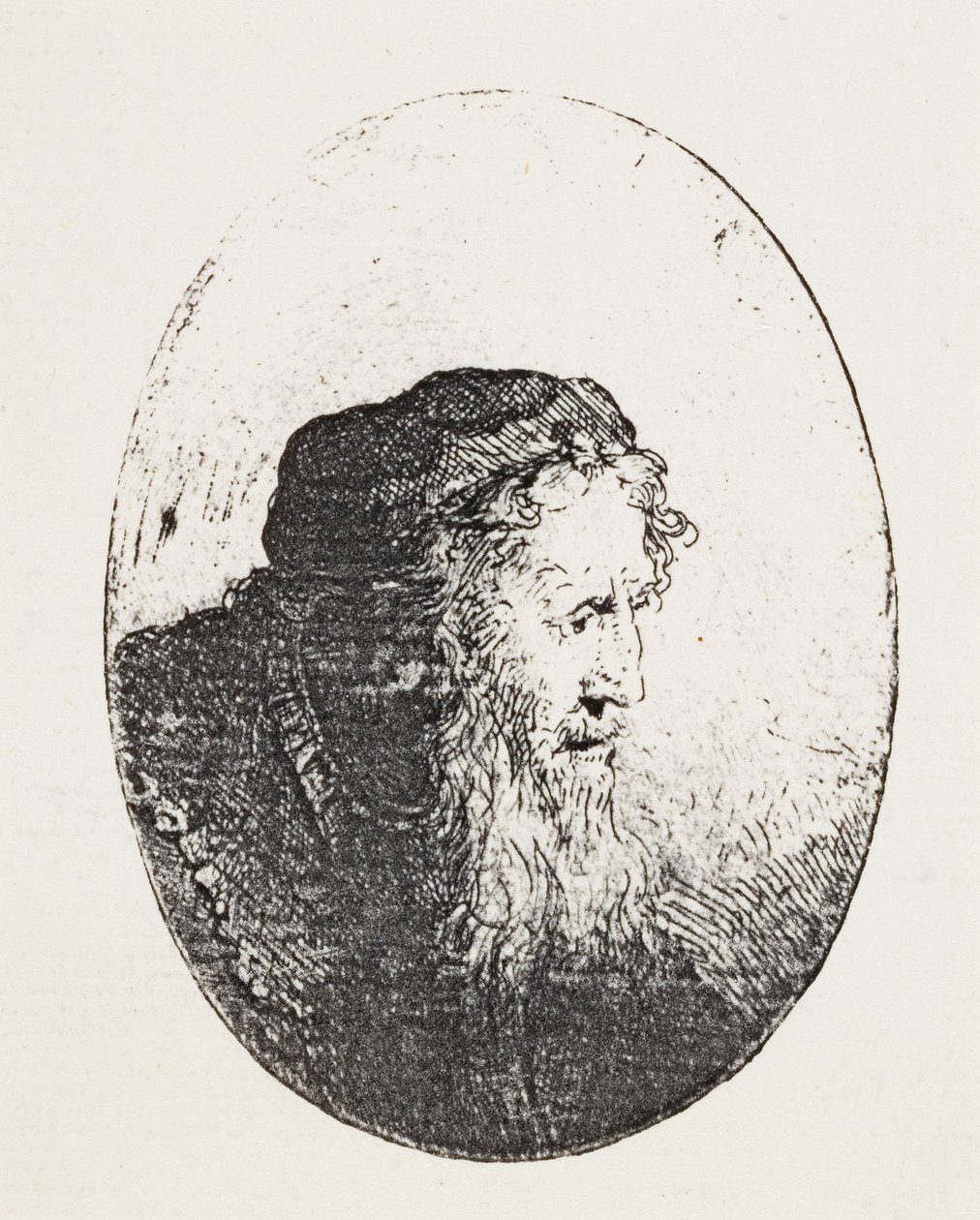 Velho de barba, c.1644-46 de Ferdinand Bol