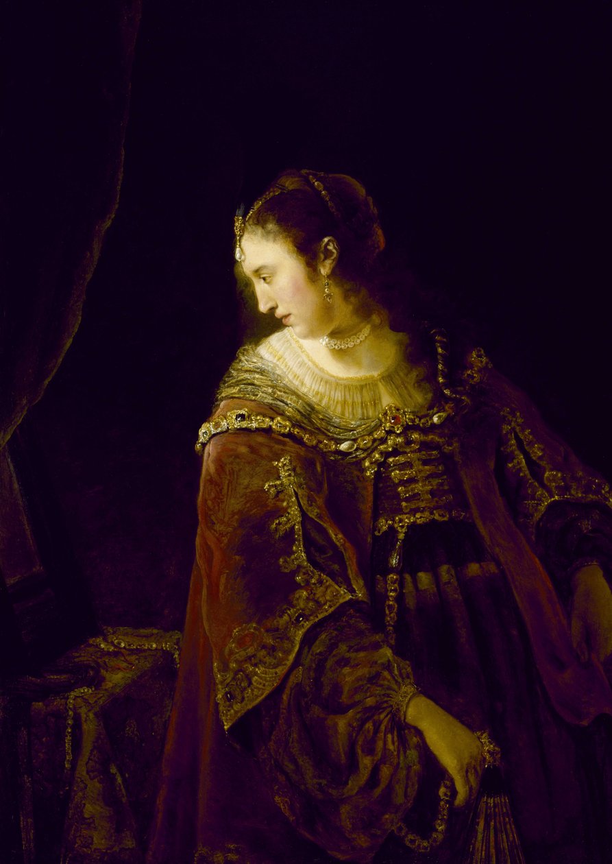 Mulher, dela, molho, tabela de Ferdinand Bol