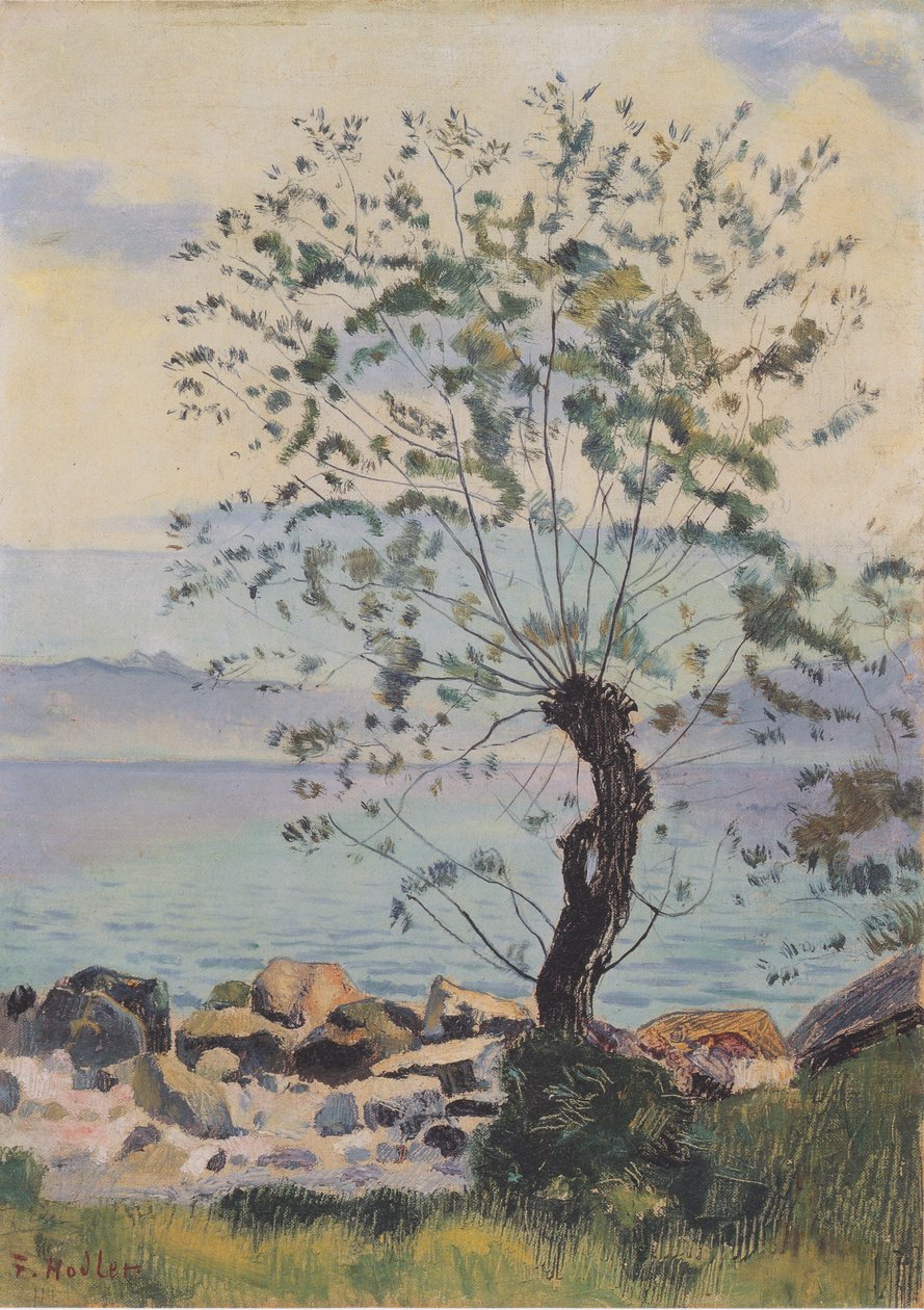 Weidebaum am See de Ferdinand Hodler