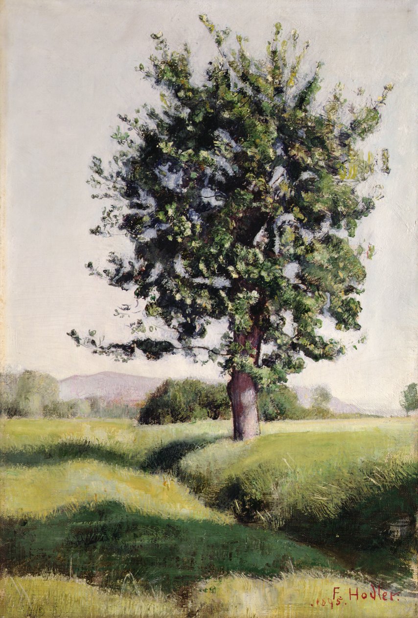 A Árvore de Ferdinand Hodler