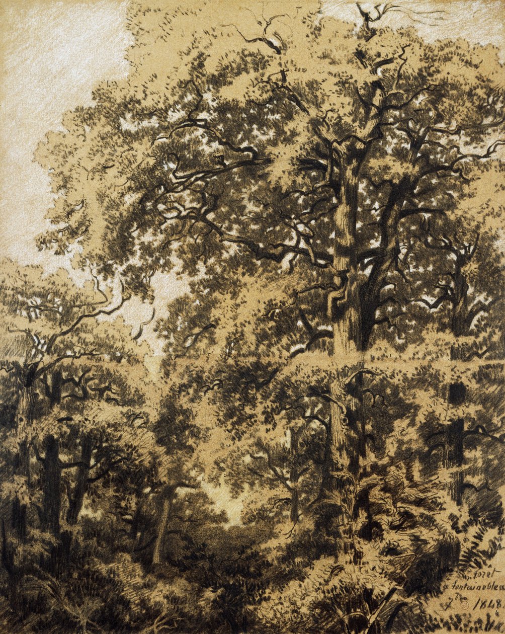 Floresta de Fontainebleau de Francesco Gamba