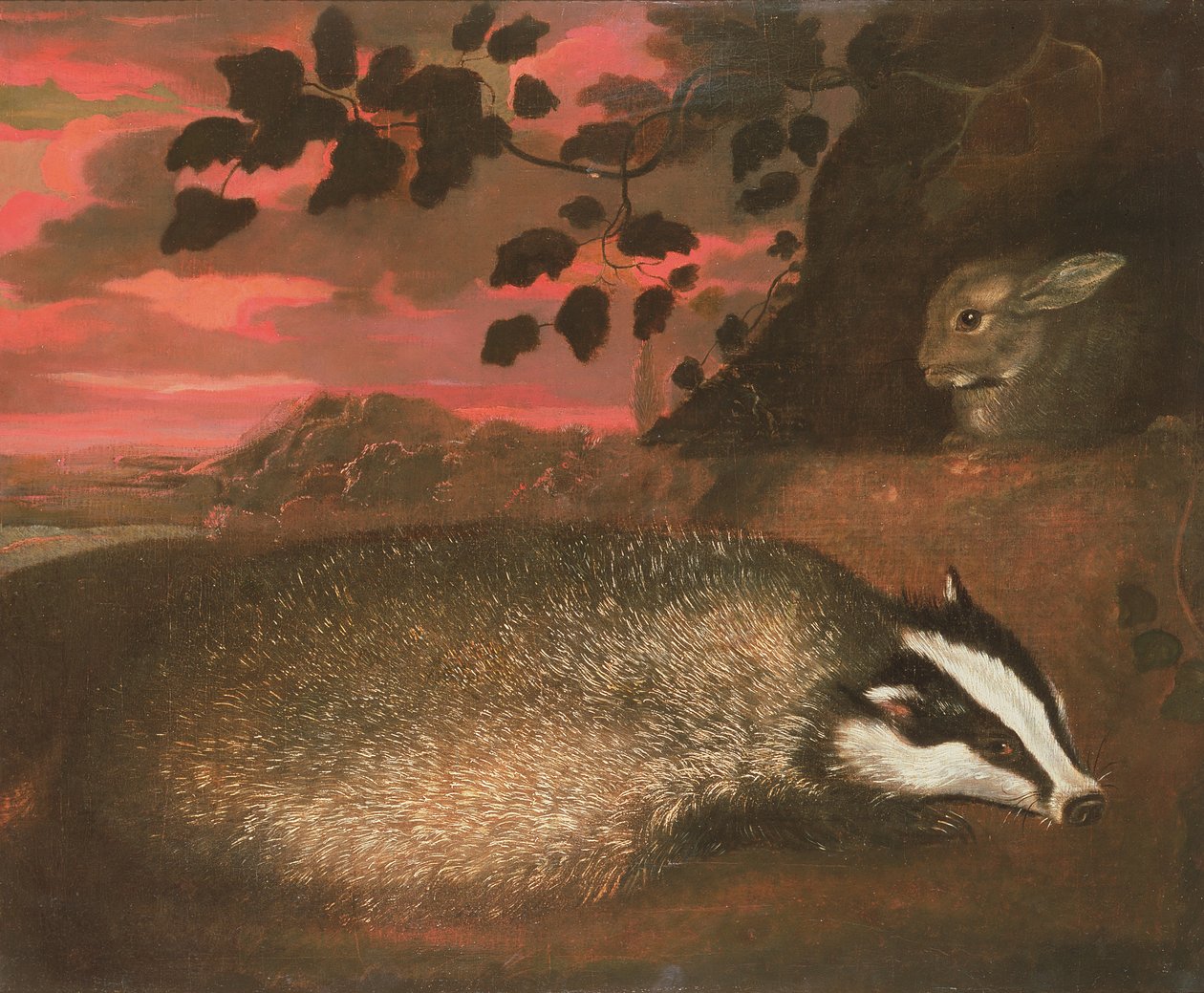 Texugo, século XVII de Francis Barlow