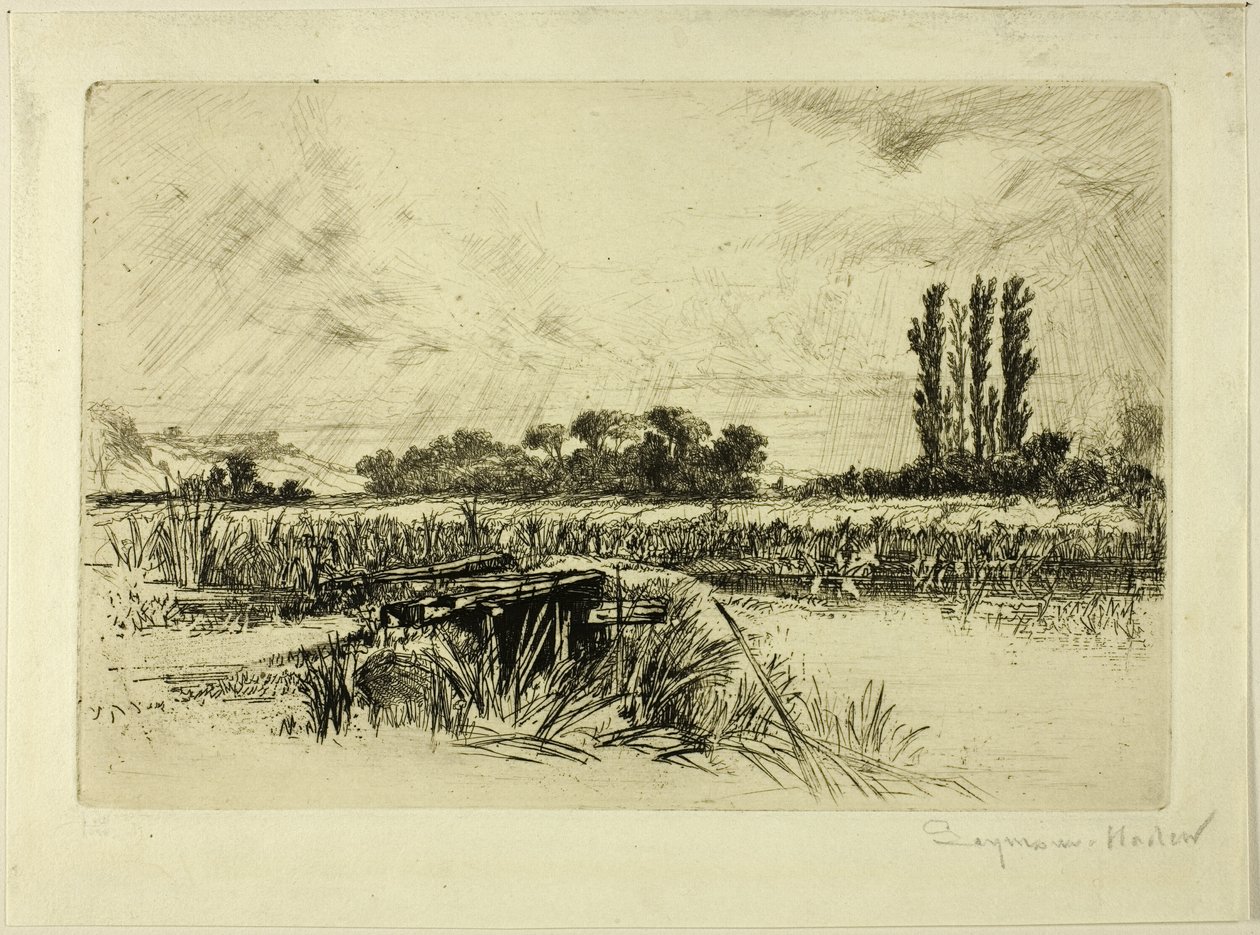 Um Prado de Água de Francis Seymour Haden