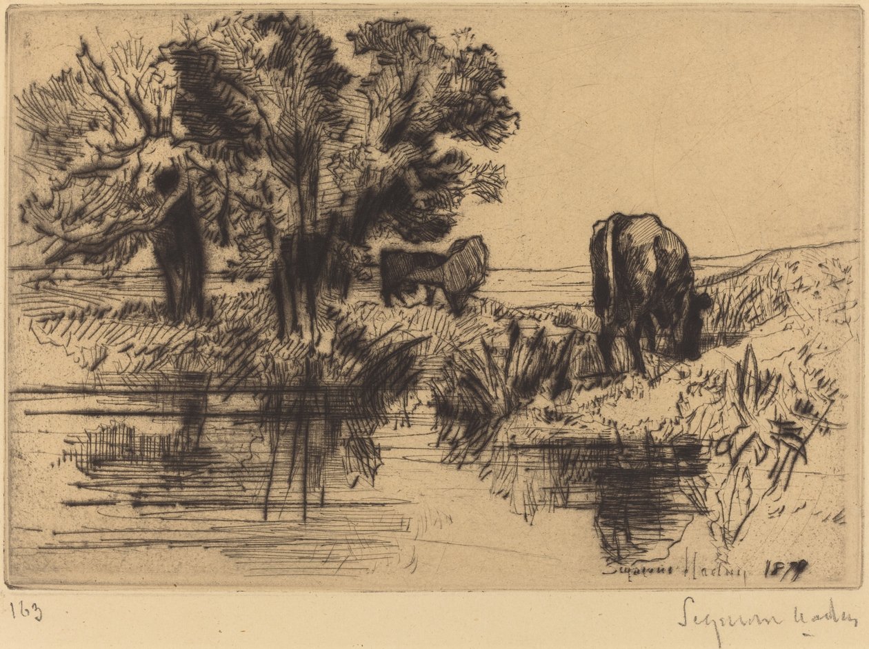 As três vacas de Francis Seymour Haden