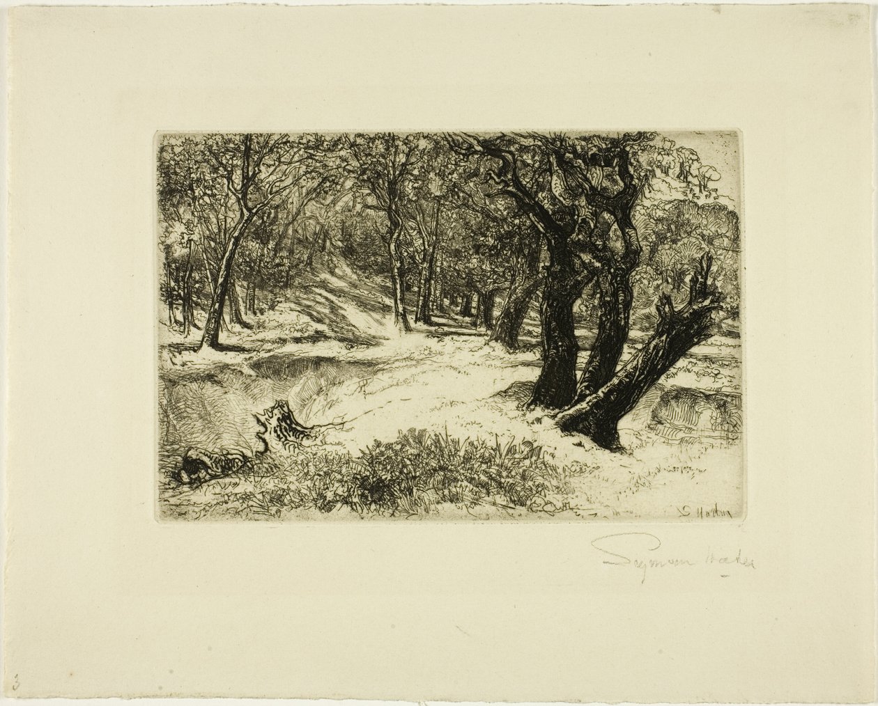 As três irmãs de Francis Seymour Haden