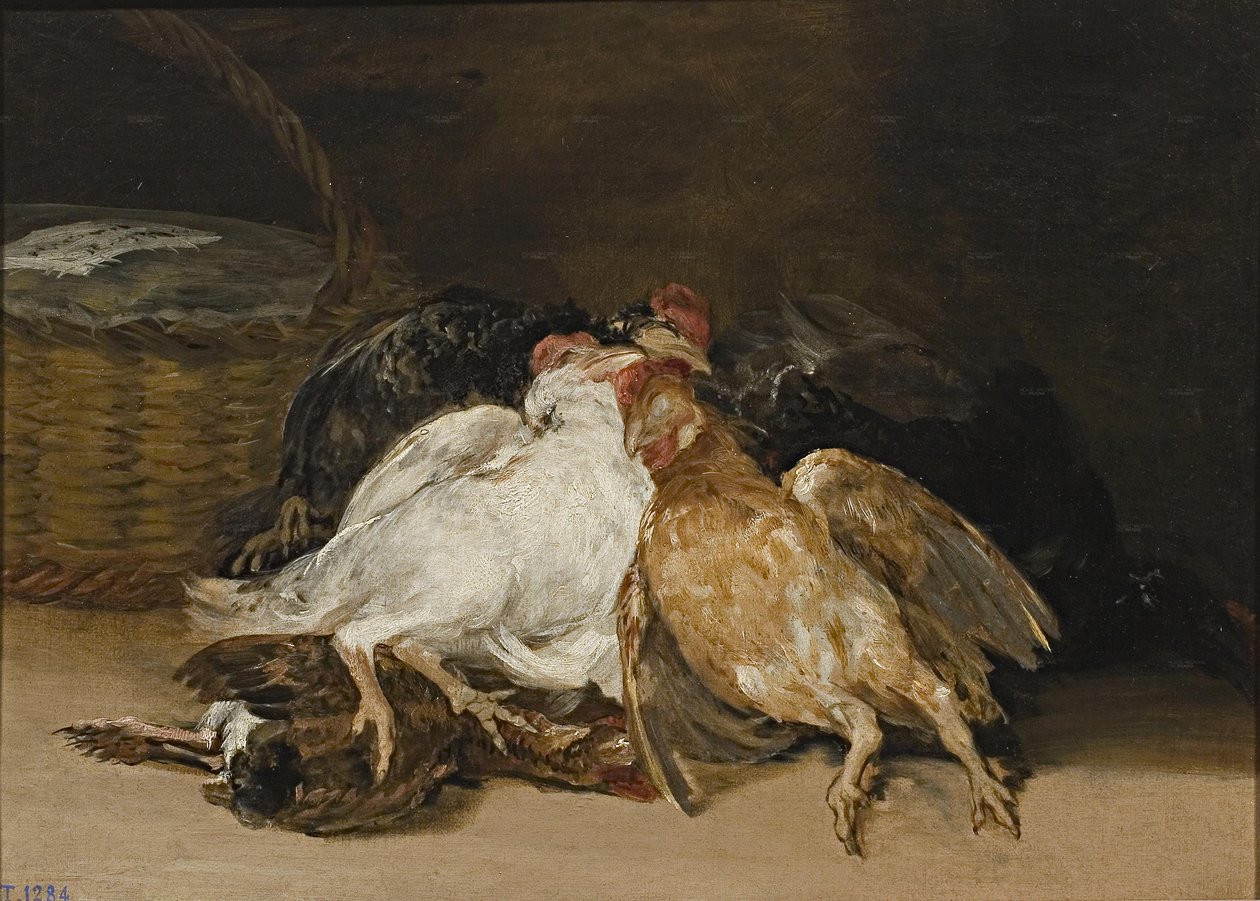 Aves mortas de Francisco de Goya