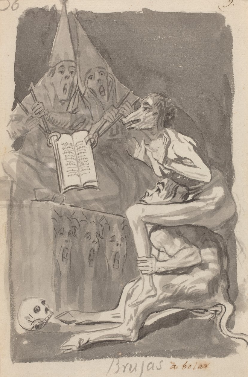 Bruges à volar de Francisco de Goya