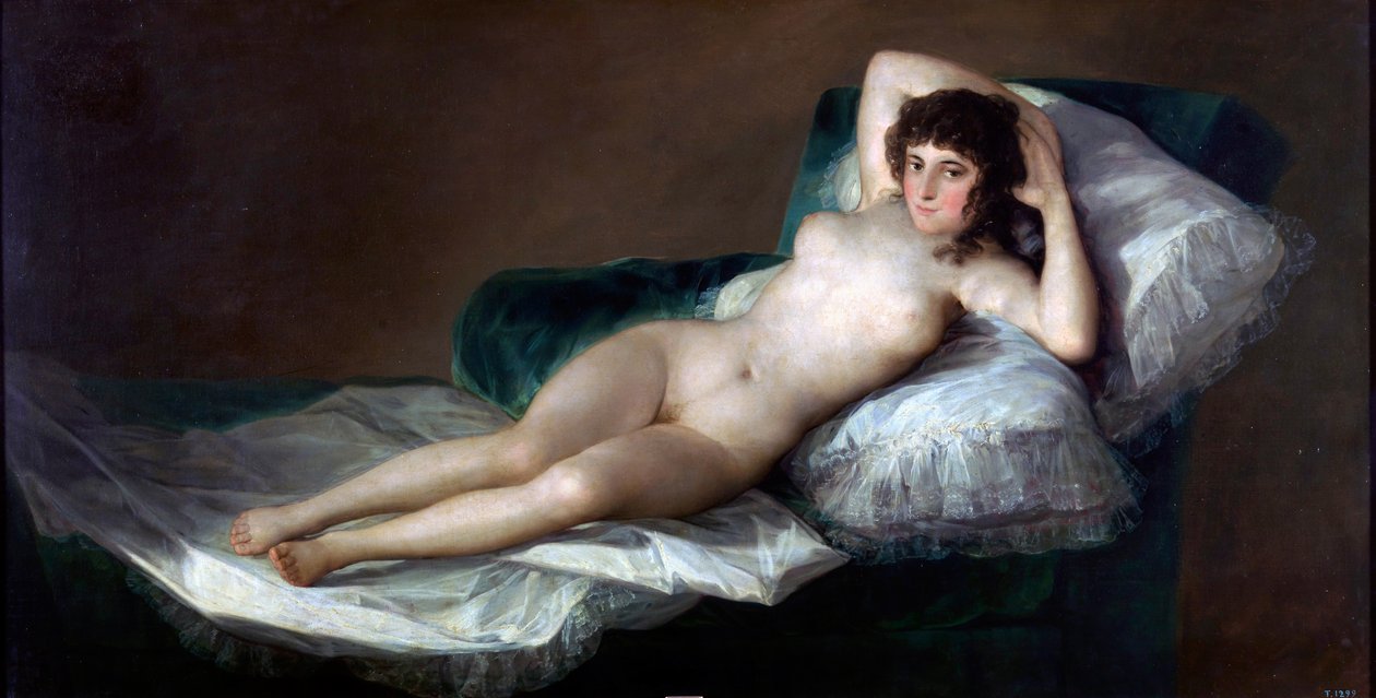 O pilão nu de Francisco de Goya