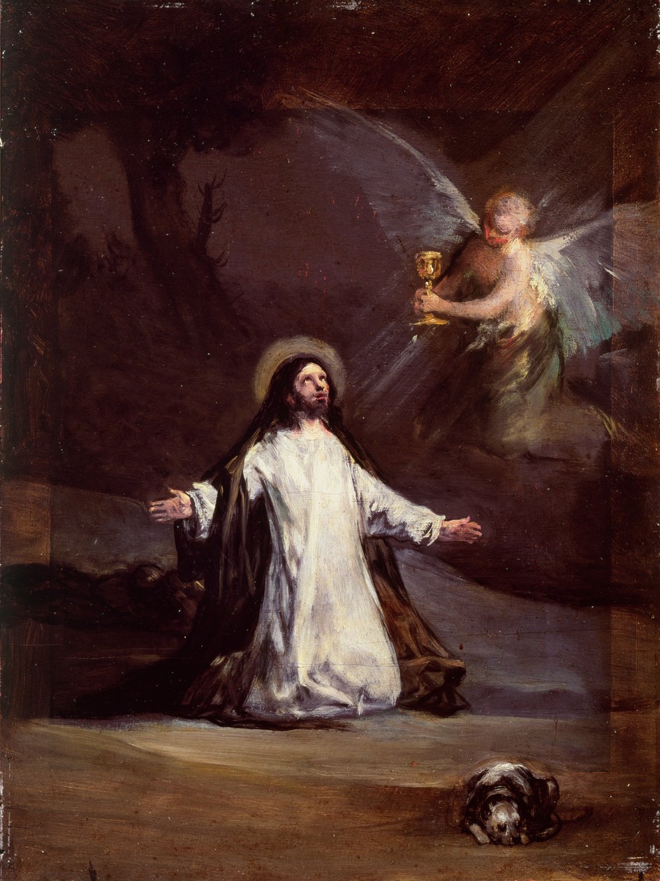 Imagem desconhecida de Francisco de Goya