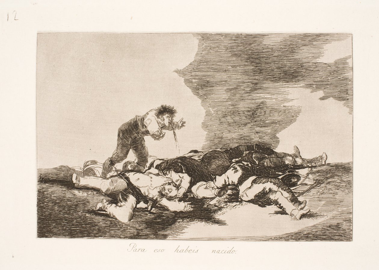 Nascemos para isso (12) de Francisco de Goya