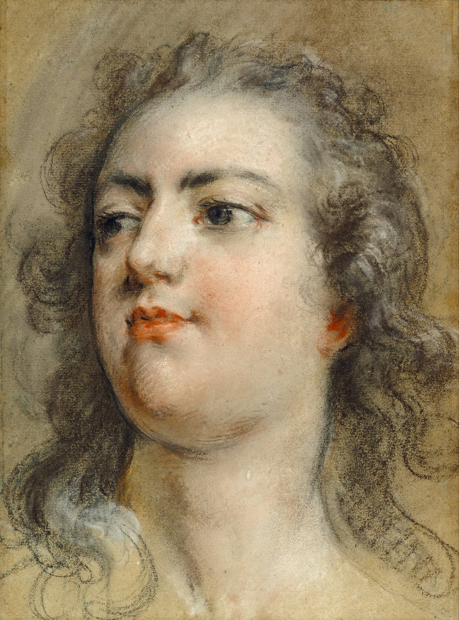Chefe do rei Luís xv de François Le Moyne
