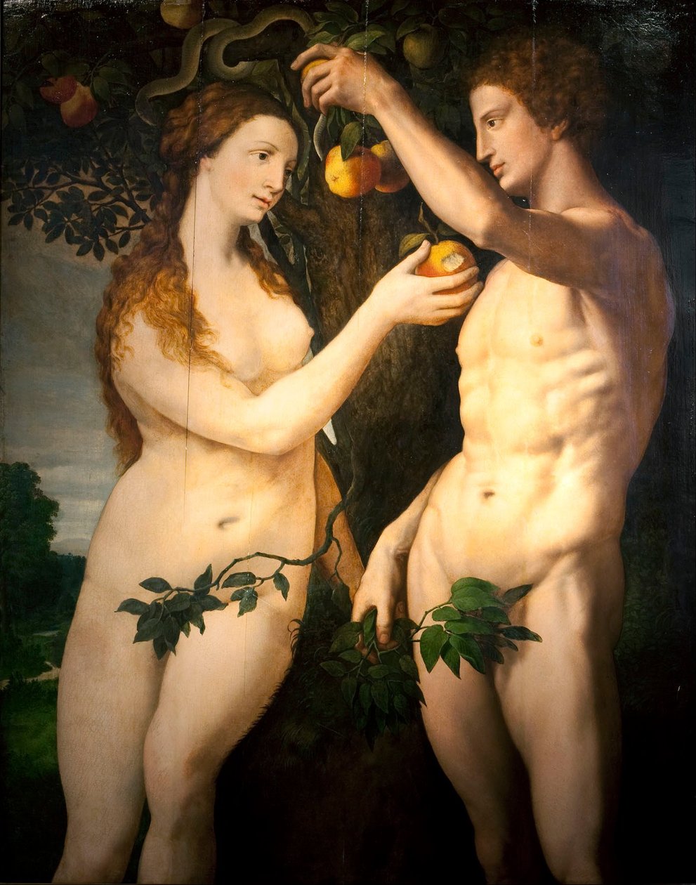 A queda do homem de Frans Floris