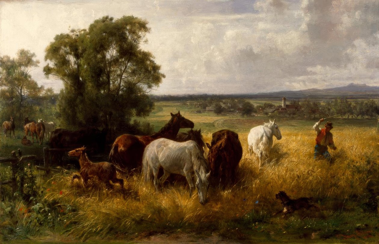 F. Adam, além do pasto de Franz Adam