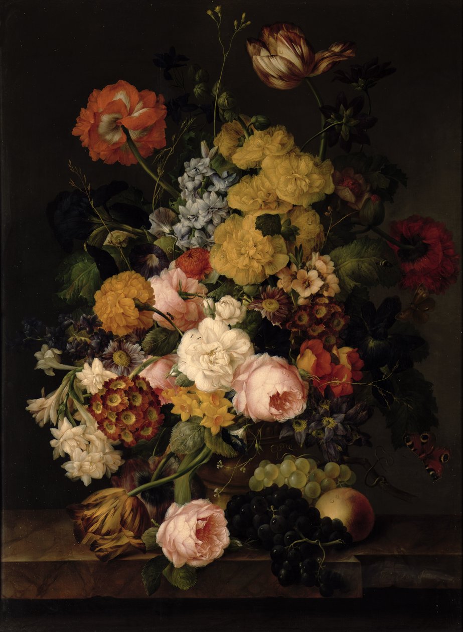 Imagem desconhecida de Franz Xavier Petter