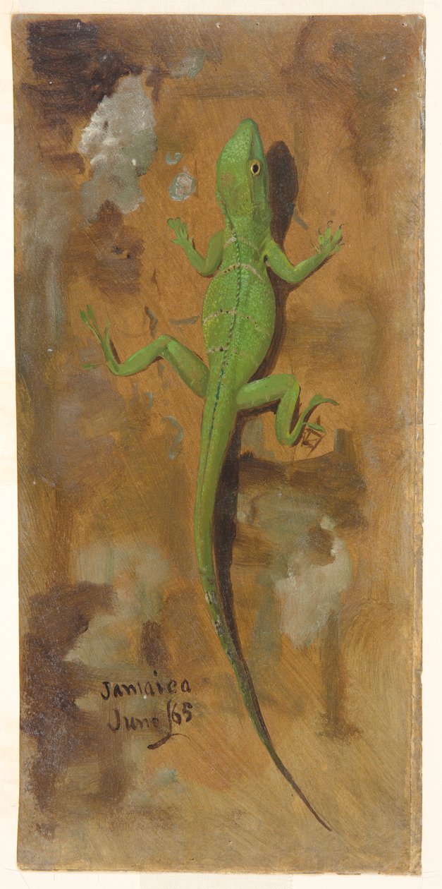 Um lagarto, Jamaica de Frederic Edwin Church
