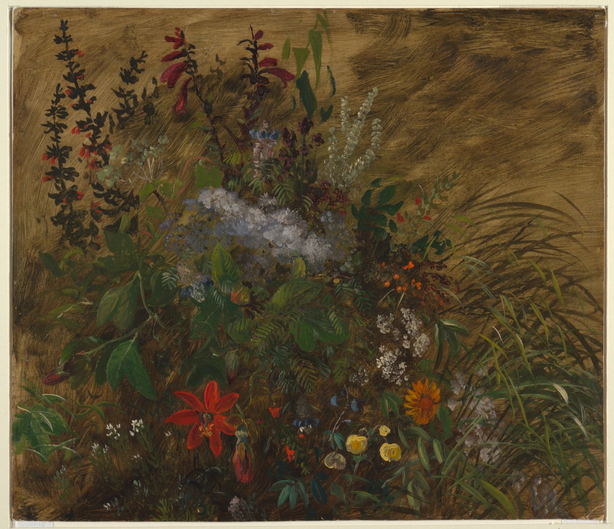 Flores na Jamaica de Frederic Edwin Church