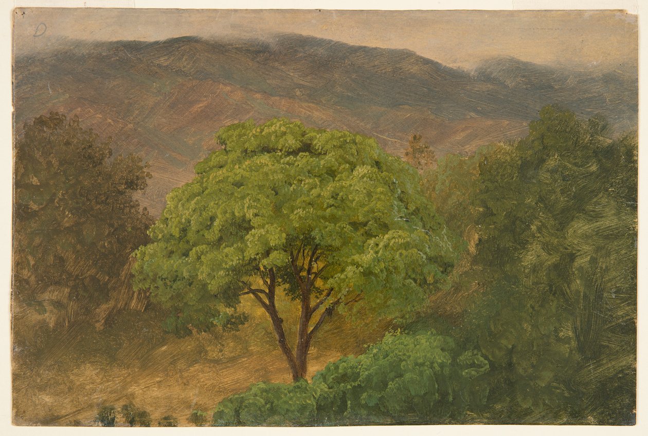 Genip Tree nas montanhas, Jamaica de Frederic Edwin Church