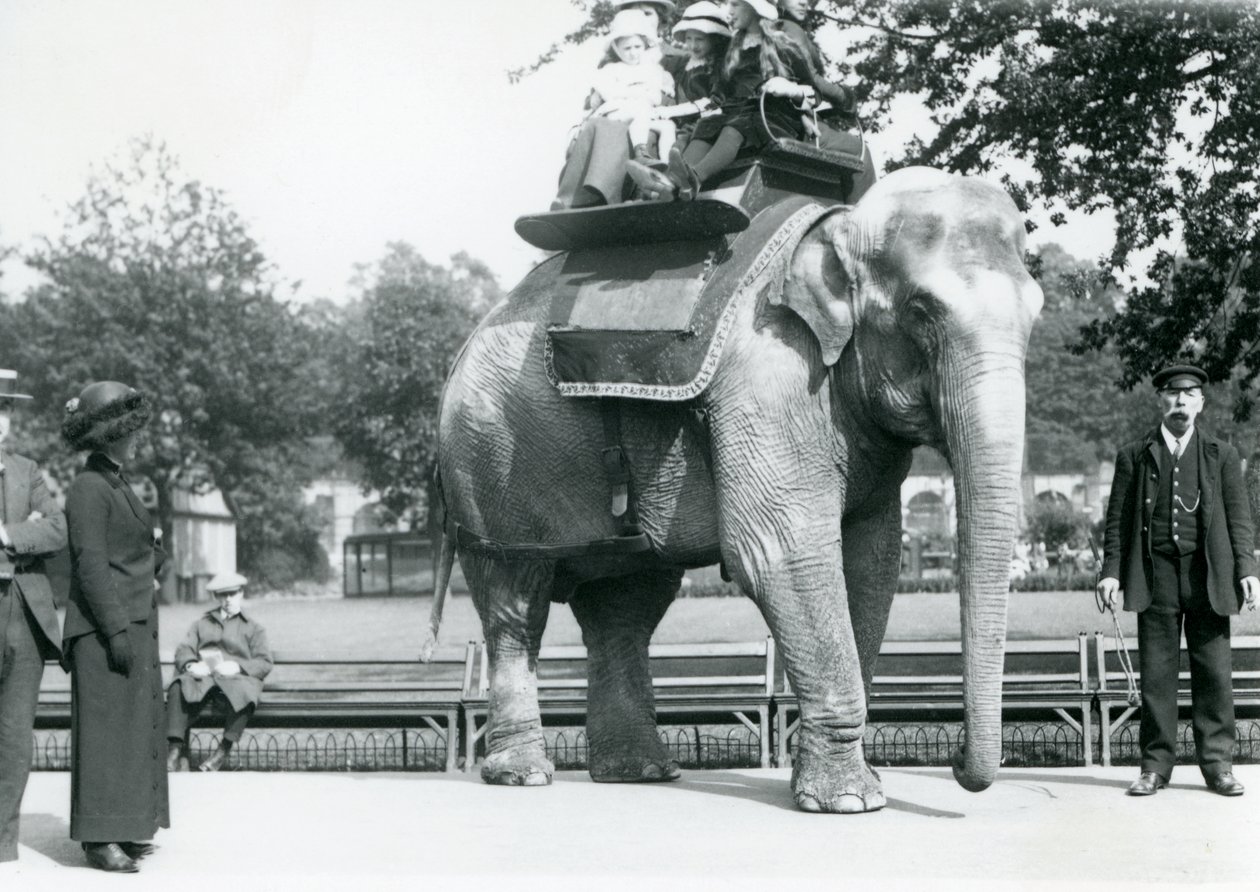 Elefante indiano feminino &39;Lukhi&39; dando às crianças uma carona com o guardião Charles Eyles, enquanto os visitantes observam, Zoológico de Londres, em maio de 1914 de Frederick William Bond