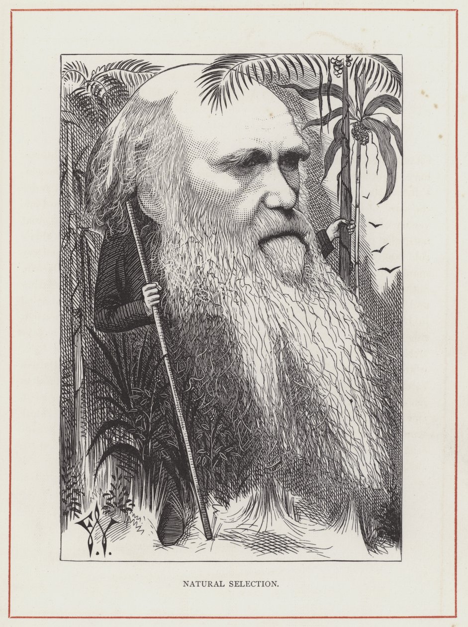 Charles Darwin, Seleção Natural de Frederick Waddy