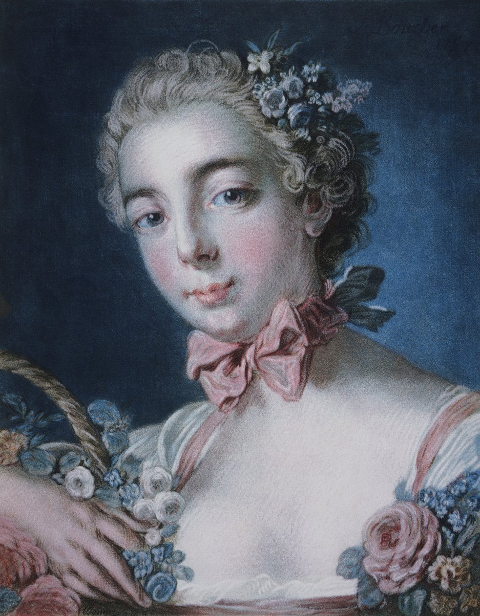 Chefe da Flora de Louis Marin Bonnet