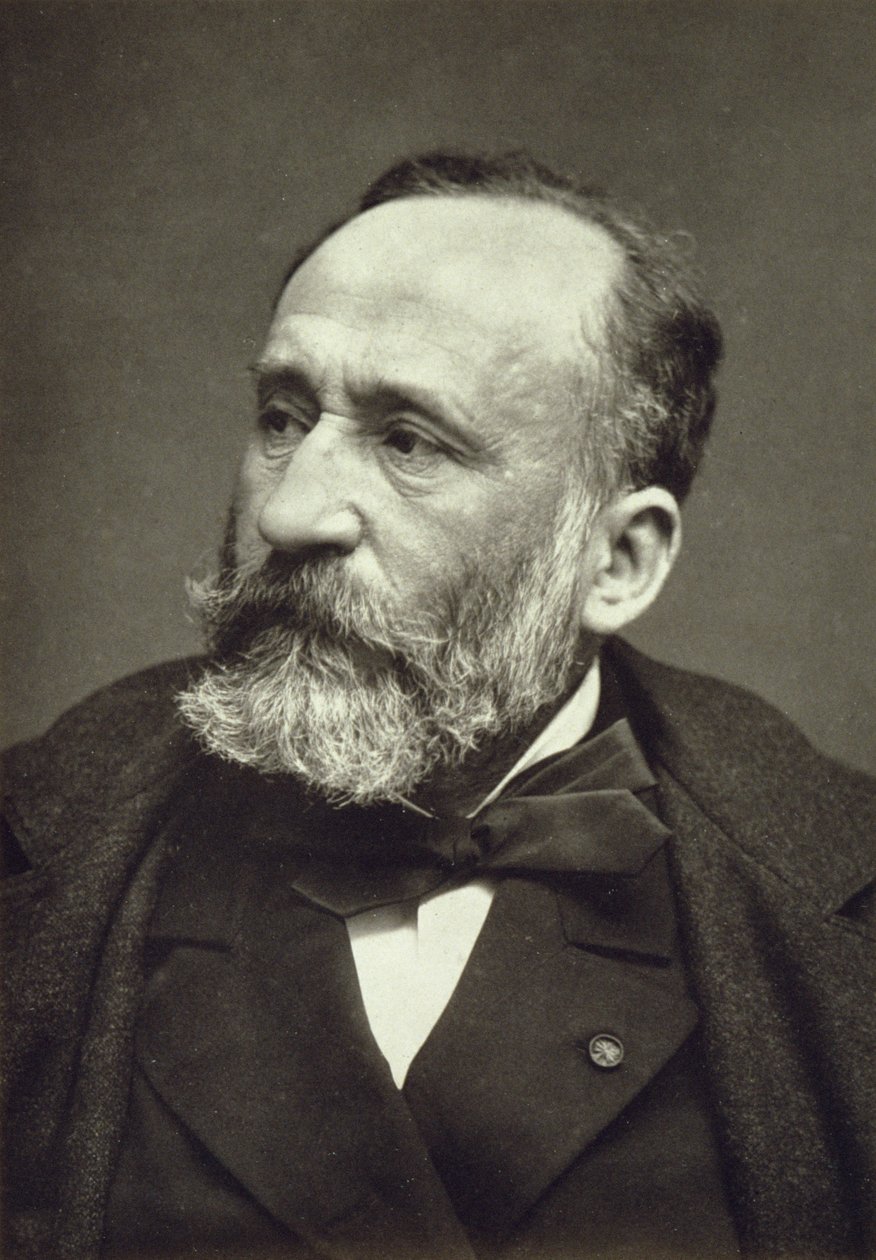 Pierre Cecile Puvis de Chavannes (1824-1898), da Galeria Contemporânea, c.1874-78 de French Photographer